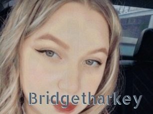 Bridgetharkey