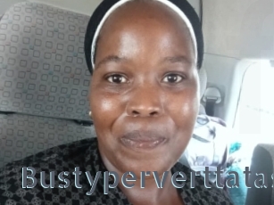 bustyperverttatas Vidéos Porno FR
