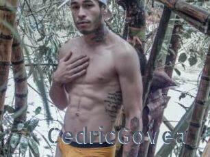 CedricGovea
