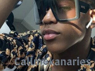 Callmekanaries