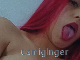 Camiginger