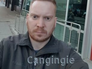 Cangingie