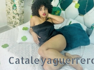 Cataleyaguerrero