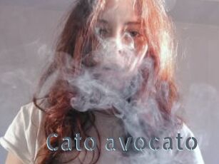 Cato_avocato
