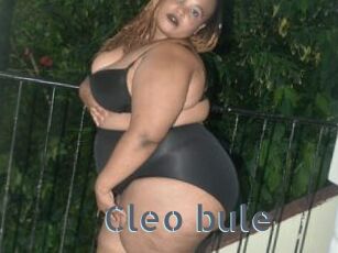 Cleo_bule