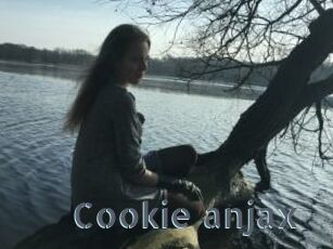 Cookie_anjax
