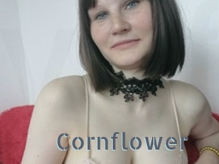 cornflower Vidéos Porno FR