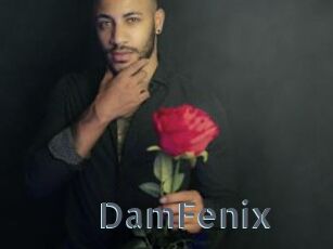 DamFenix