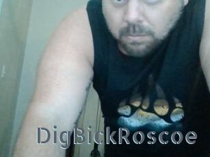DigBickRoscoe