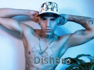 DishBro