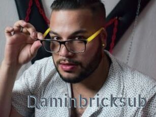 Daminbricksub