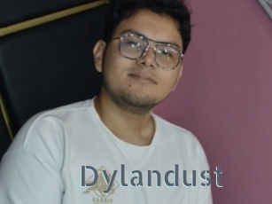 Dylandust