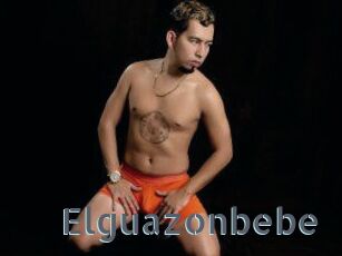 Elguazonbebe