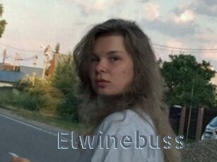 Elwinebuss