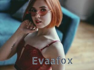 Evaafox