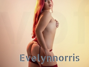 Evelynnorris