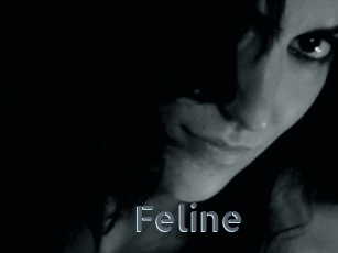 Feline Vidéos Porno FR
