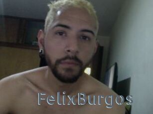 FelixBurgos