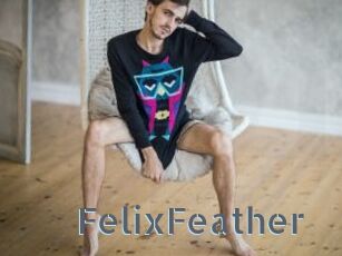 FelixFeather