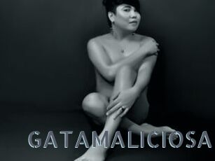 GATAMALICIOSA
