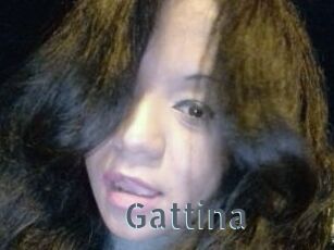 Gattina