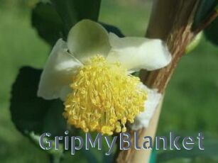 GripMyBlanket