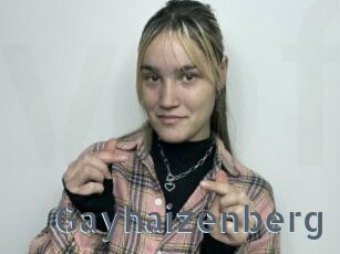 Gayhaizenberg