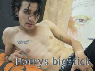Harrys_bigstick