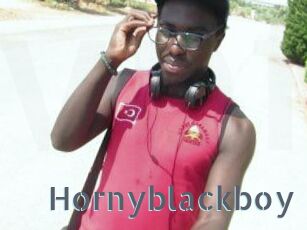 Hornyblackboy