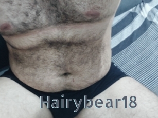 Hairybear18