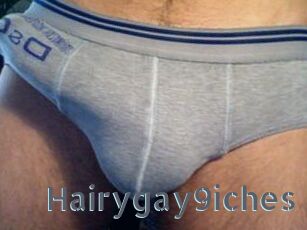 Hairygay9iches