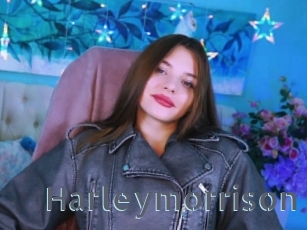 Harleymorrison
