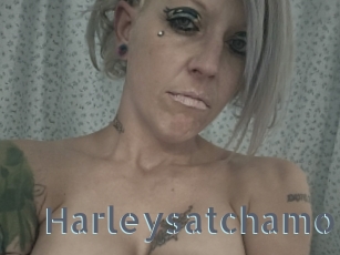 Harleysatchamo