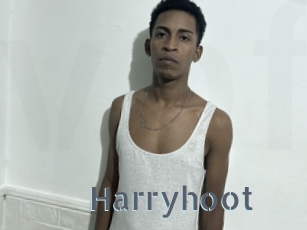 harryhoot Vidéos Porno FR