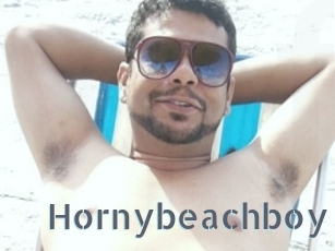 Hornybeachboy