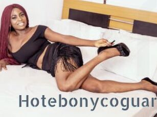 Hotebonycoguar
