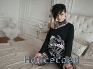 Hoticecoed