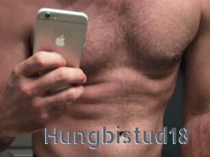 Hungbistud18