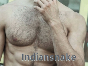 Indiansnake