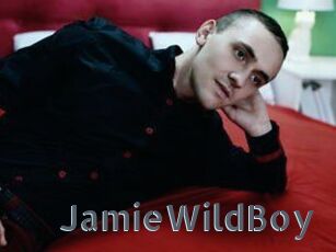 JamieWildBoy