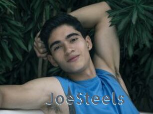 JoeSteels