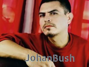 JohanBush