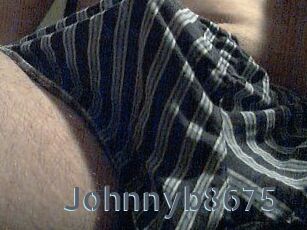 Johnnyb8675