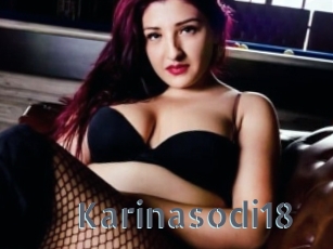 Karinasodi18
