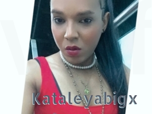 Kataleyabigx