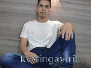 Kevingaviria