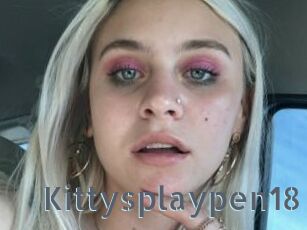 Kittysplaypen18