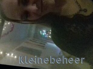 Kleinebeheer