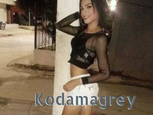 Kodamagrey