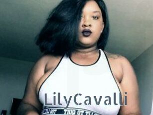 Lily_Cavalli